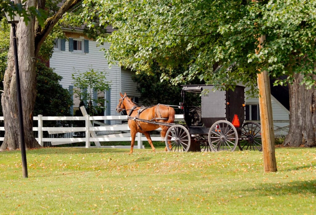 Amish