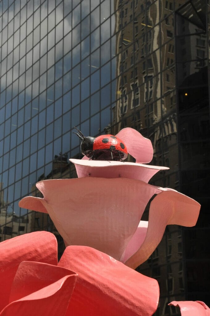 Red Ladybug and Black Building