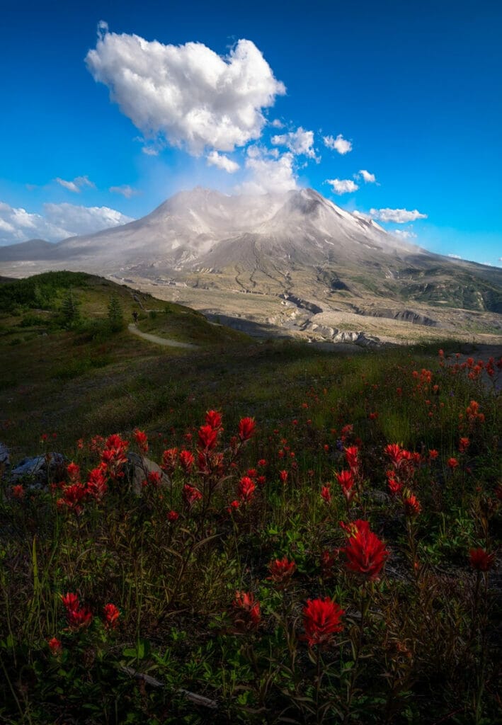 Mt. Saint Helens 