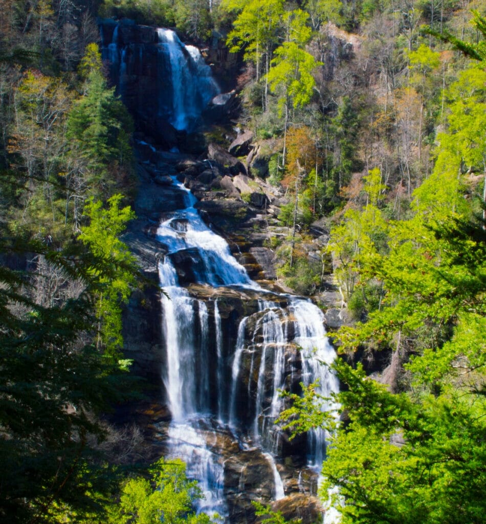 Whitewater Falls 