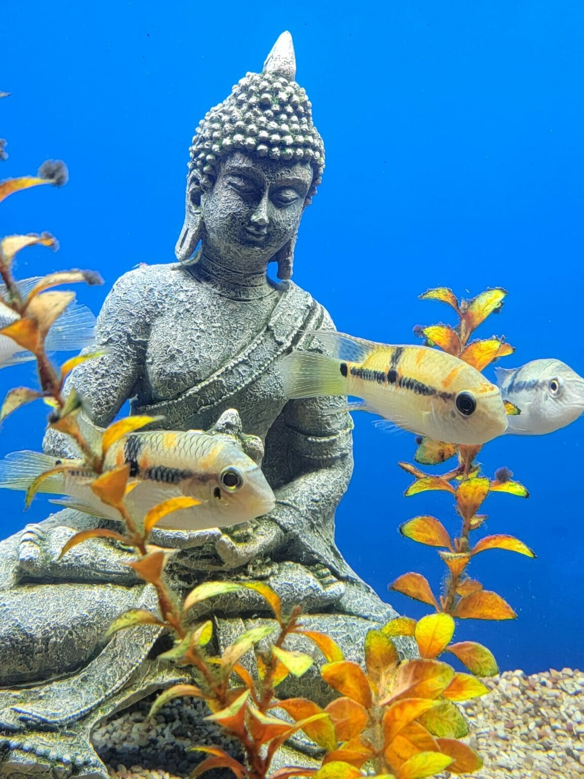 17 Fantastic Things to Do Alone in Austin, Texas (solo tips!)