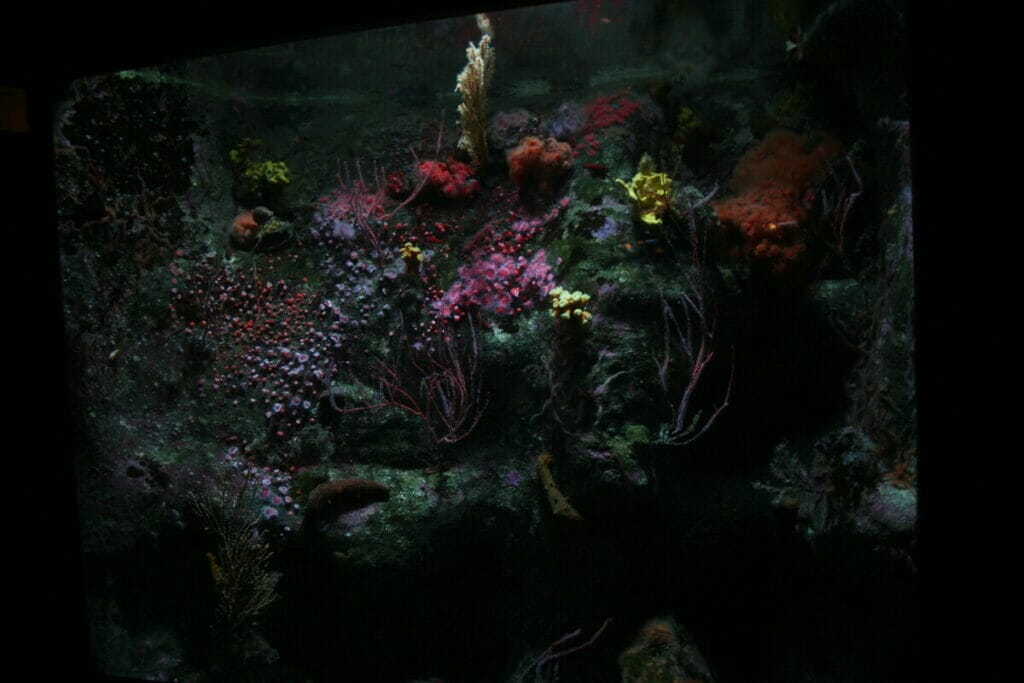 Scripps aquarium
