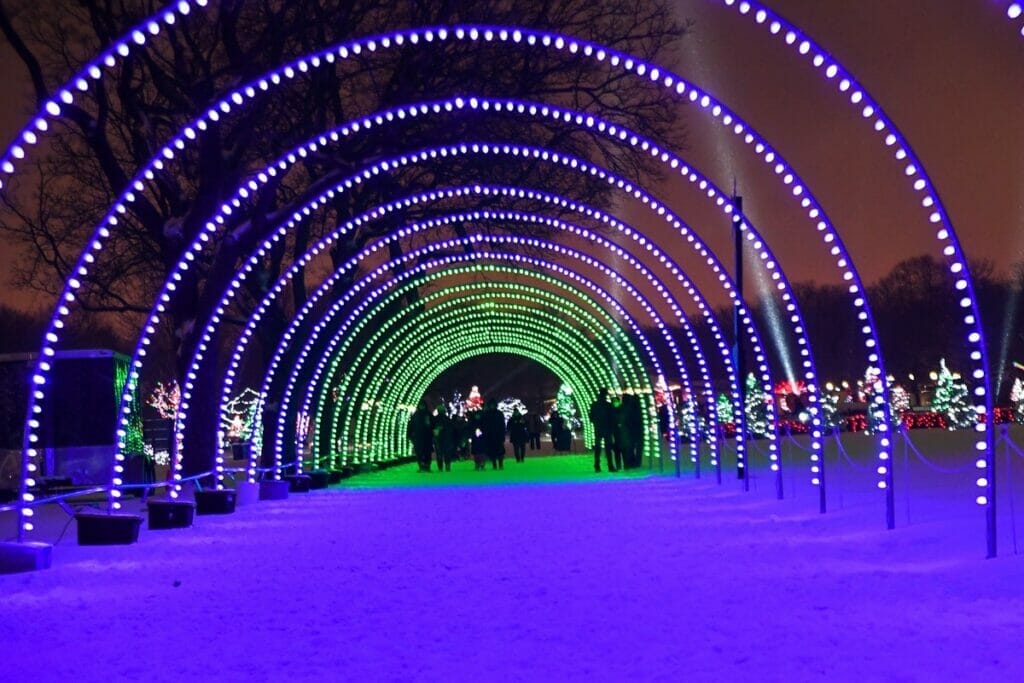 People walking through the Holiday Magic display at the Brookfield Zoo 