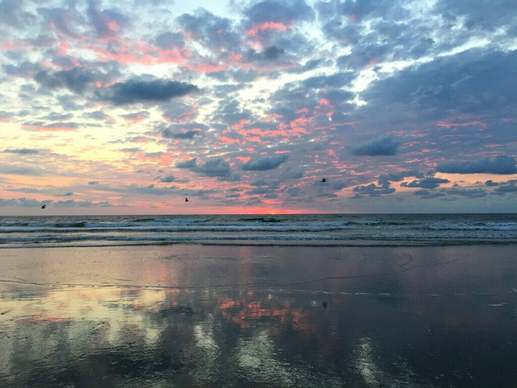 False Cape State Park 