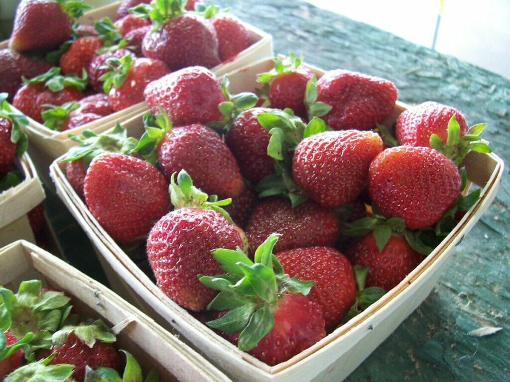 strawberries from farmer's market 