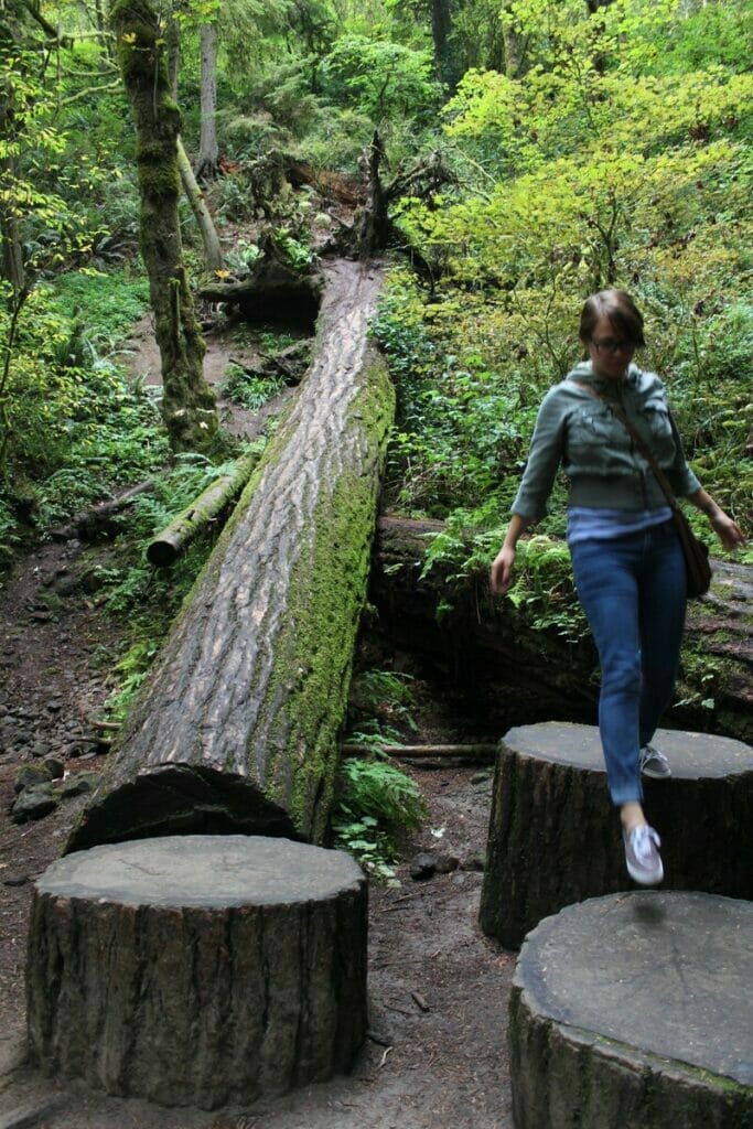 portland forest park