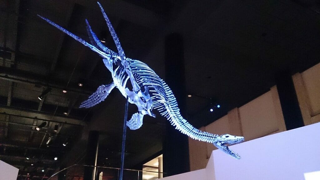 Houston museum of natural science