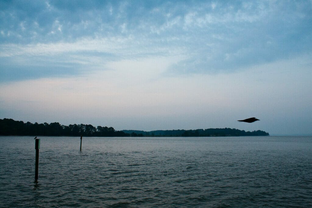 Jamestown Ferry