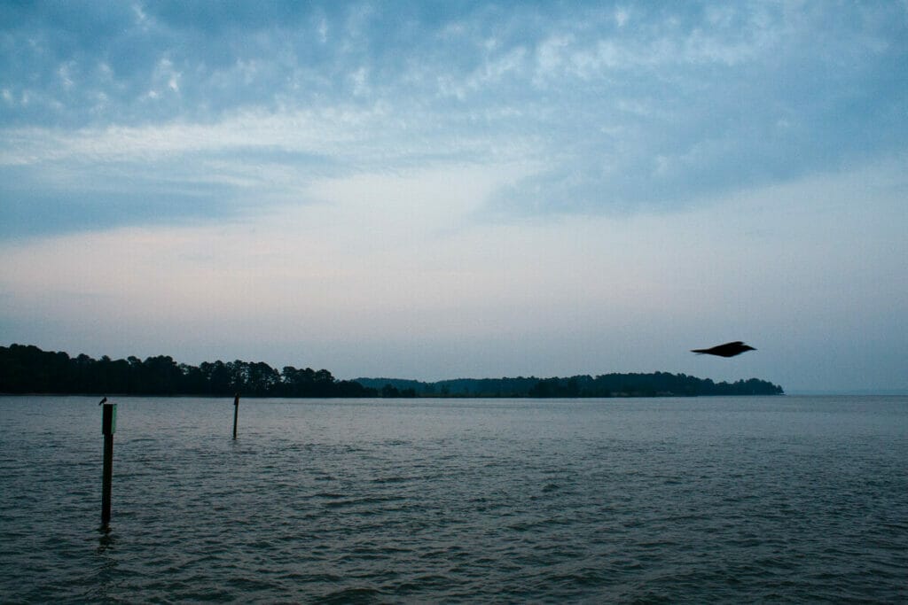 Jamestown Ferry 