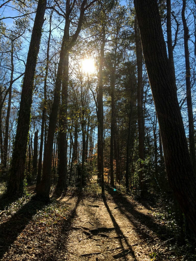 Morningside Nature Preserves 