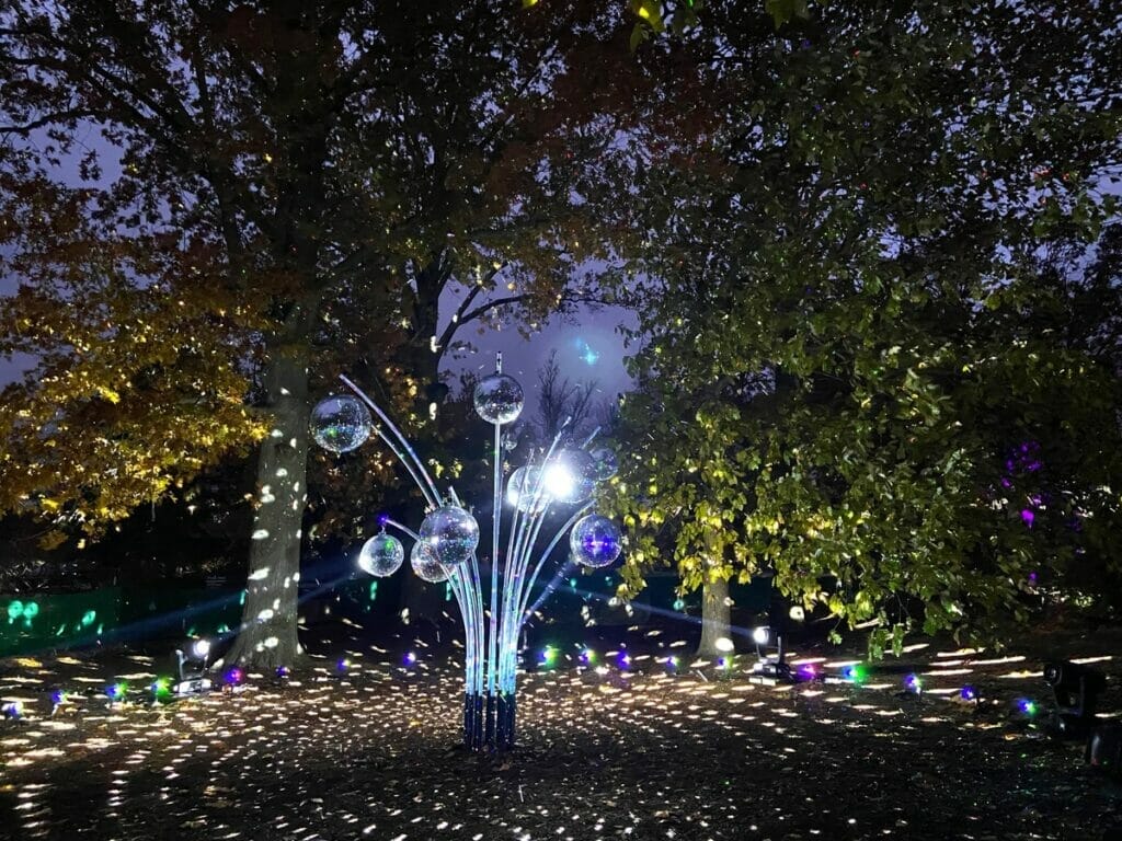 Light display at the Morton Arboretum 