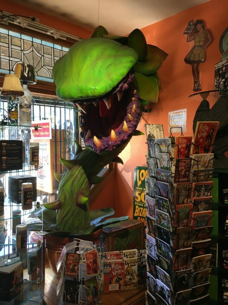 Museum of the Weird