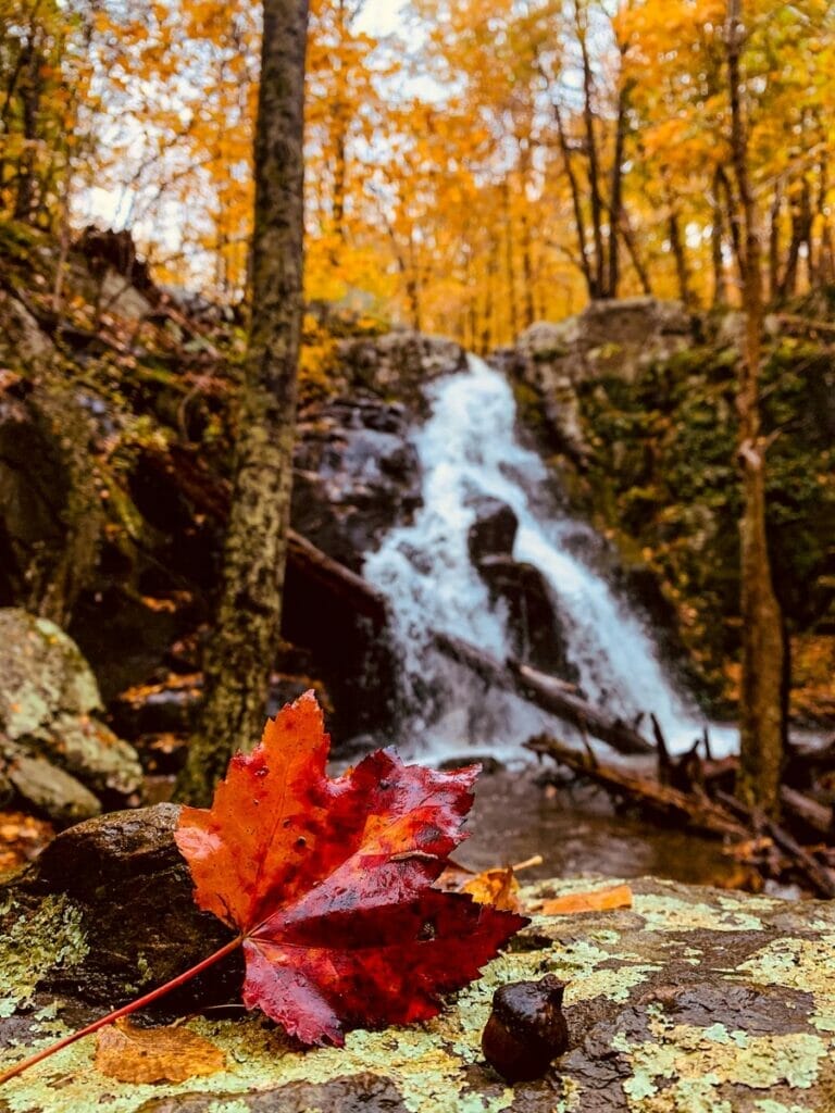 Overall Run Falls 