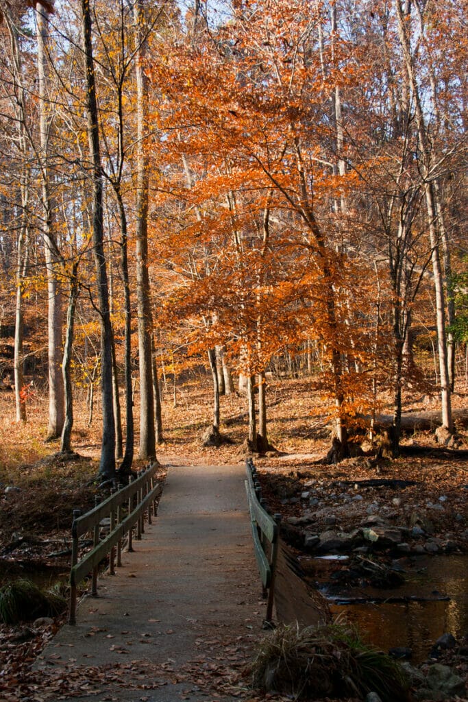 Pocahontas State Park 