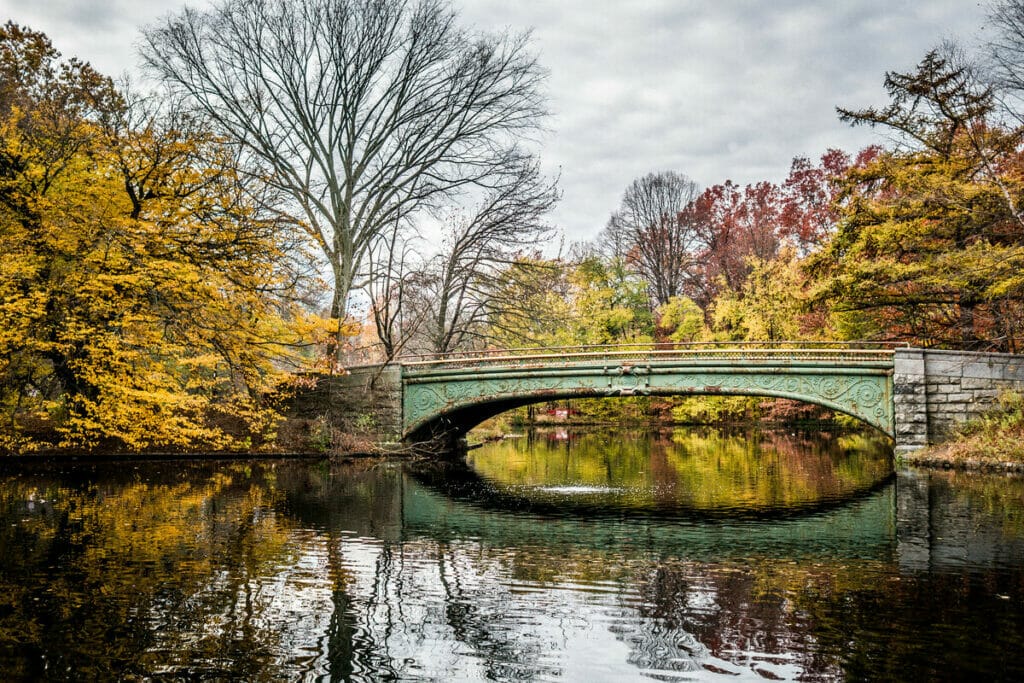 Prospect Park 