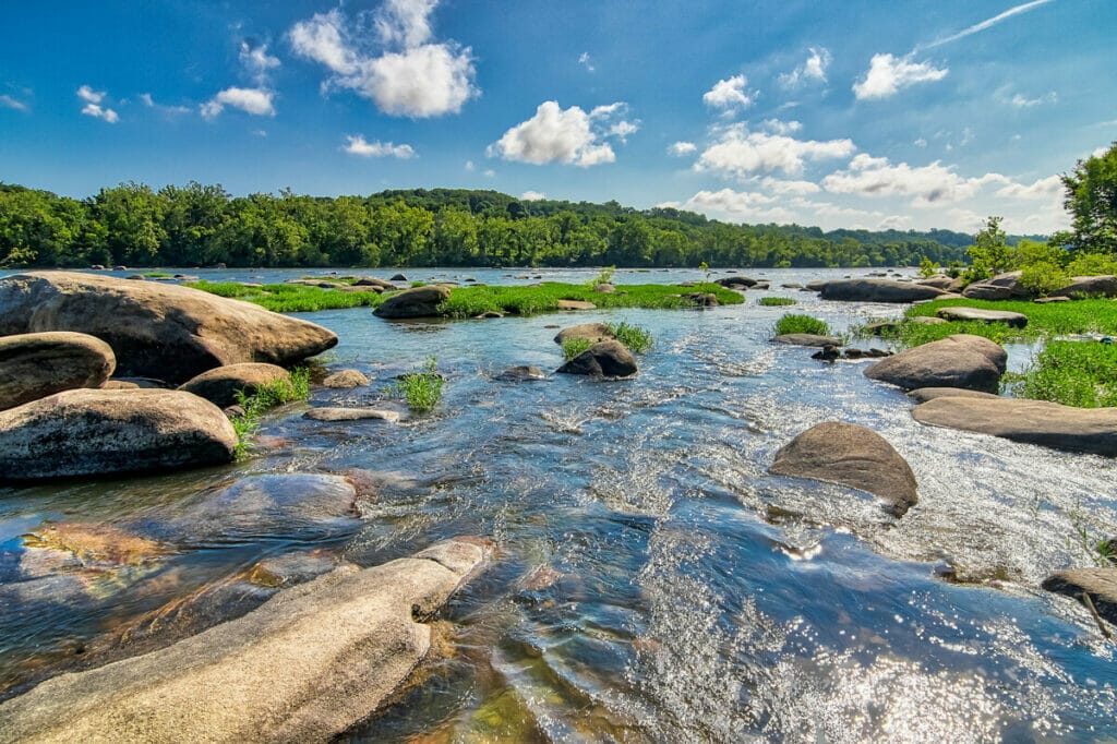 Rapids