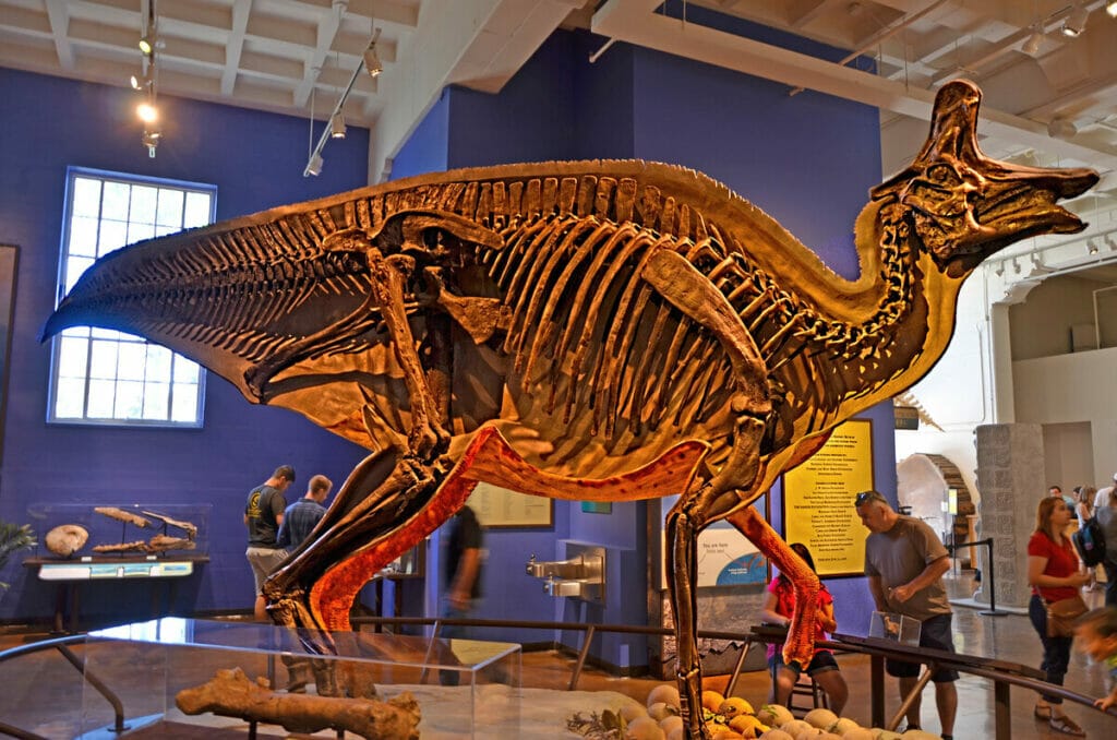 San Diego Natural History Museum