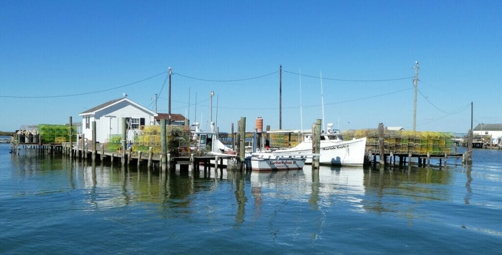 Tangier Island Crab Shanties 