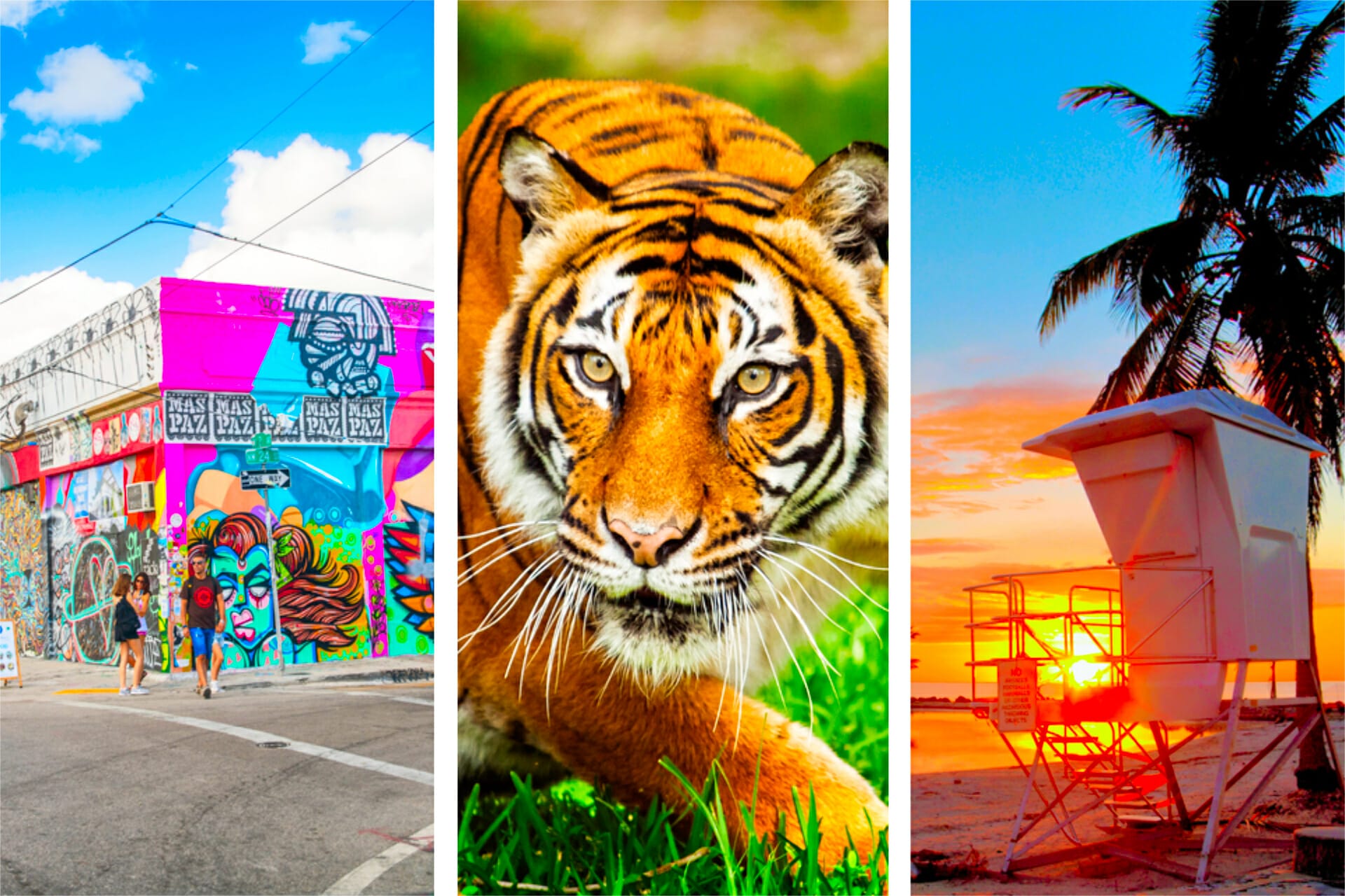 33マイアミだけでやるべきことはありません（2024）