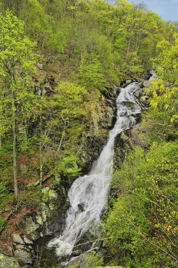 Whiteoak Falls 