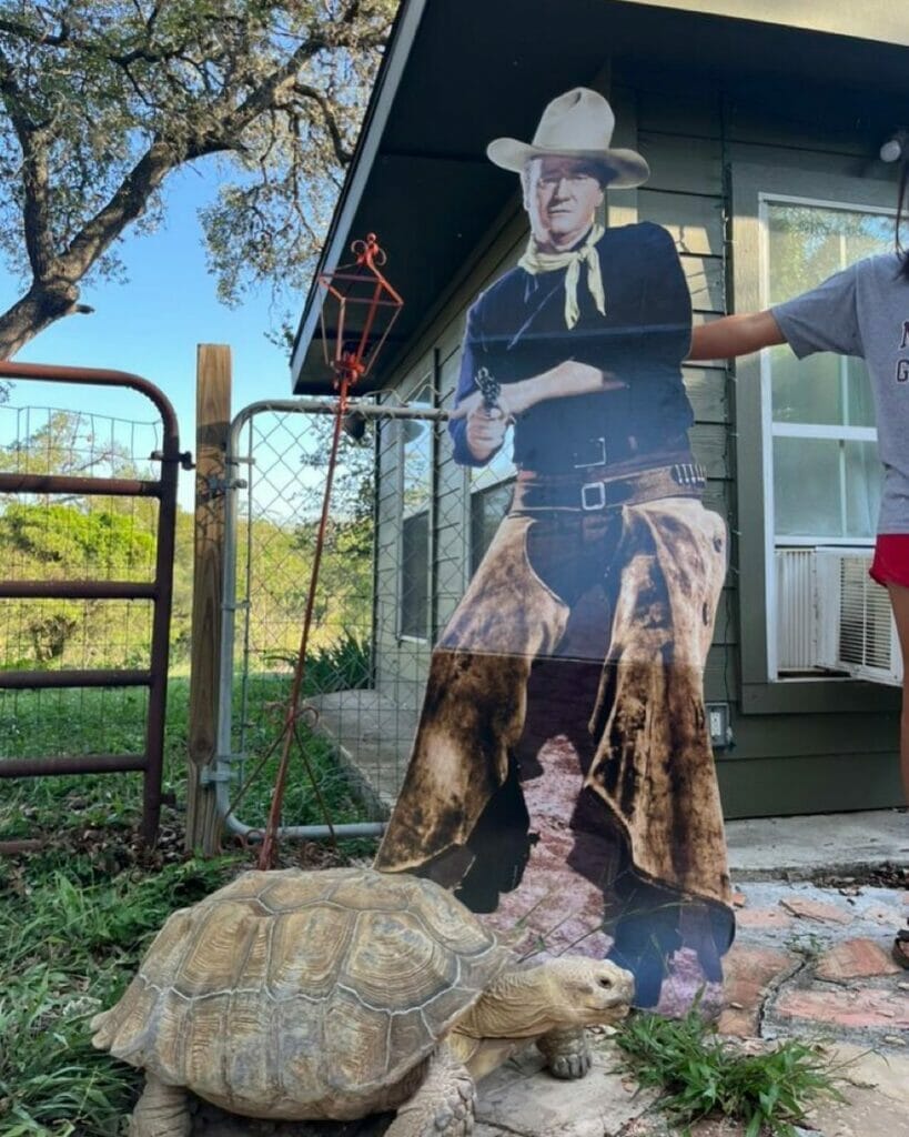 Wonder World Austin