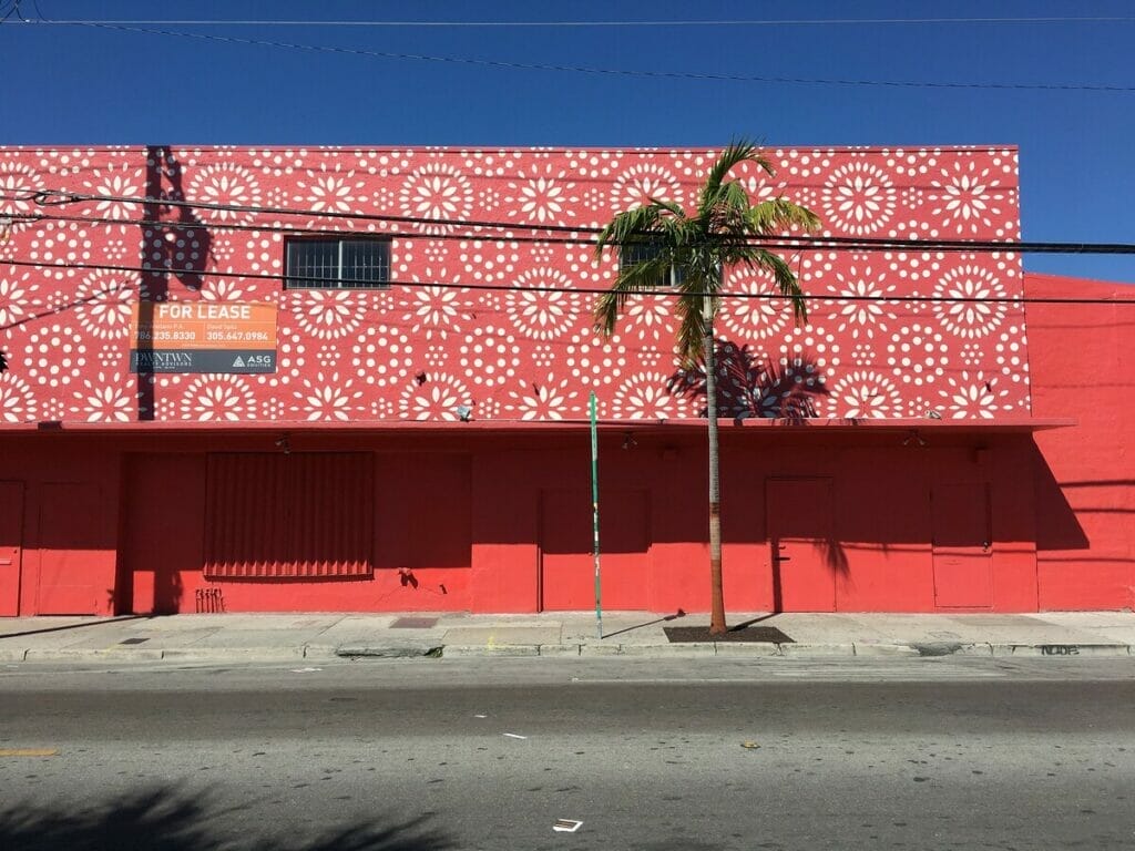 Wall murals in Wynwood 