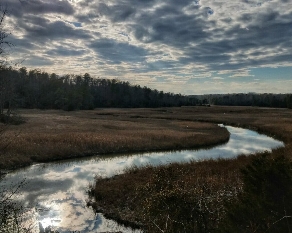 York River State Park 