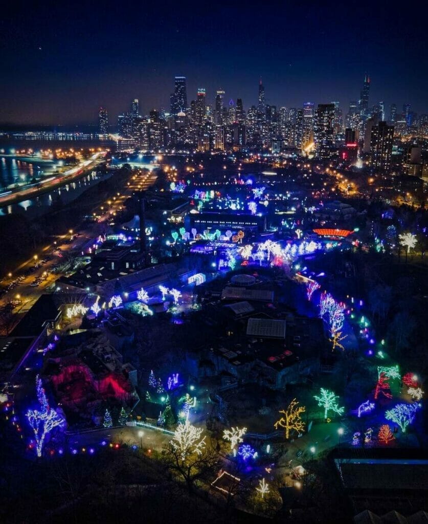 Christmas lights at the Lincoln Park Zoo 