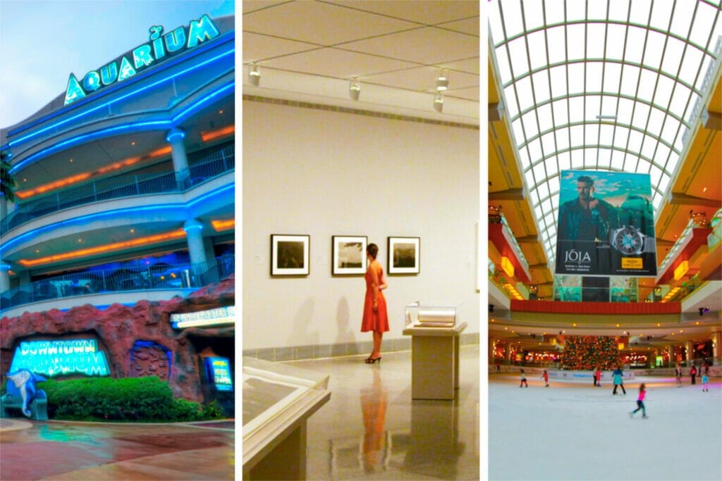 things to do alone in Houston