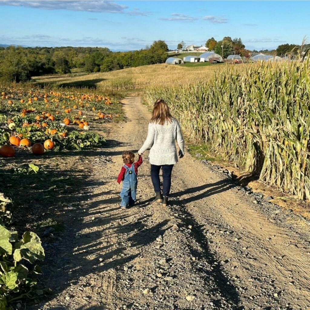 Back home on the farm