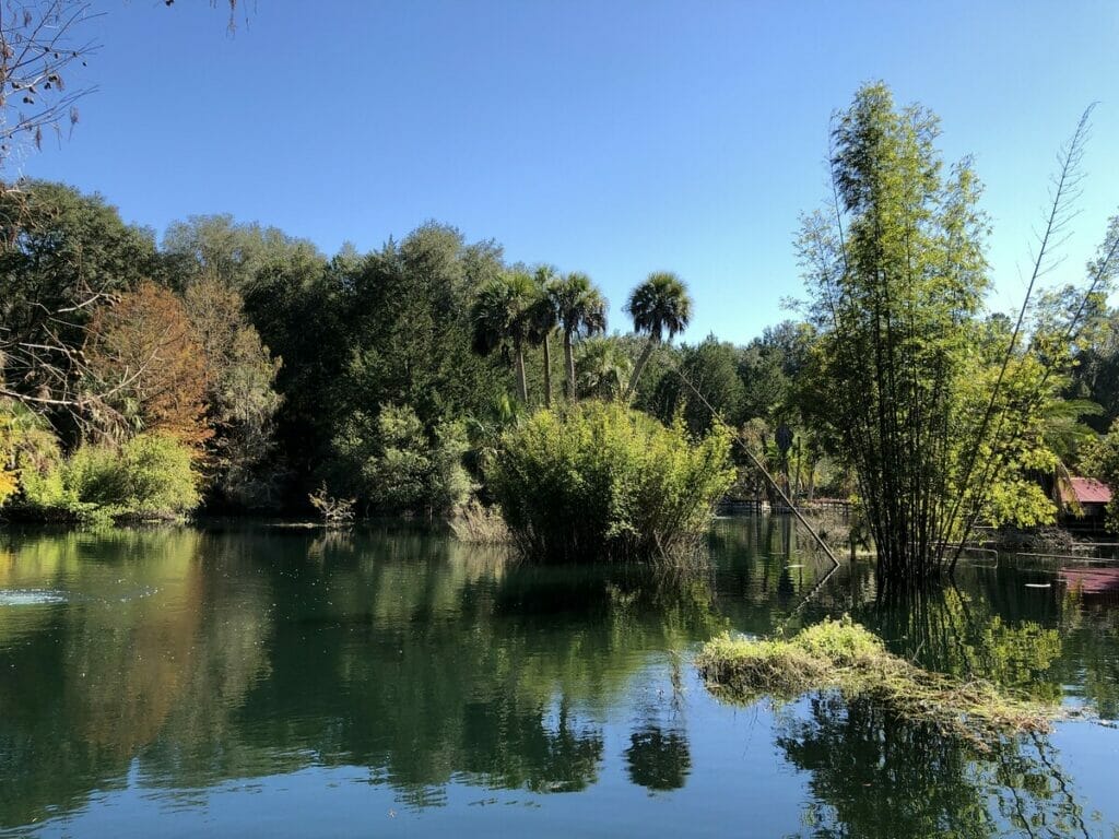 Cedar Lakes Woods and Gardens in Florida