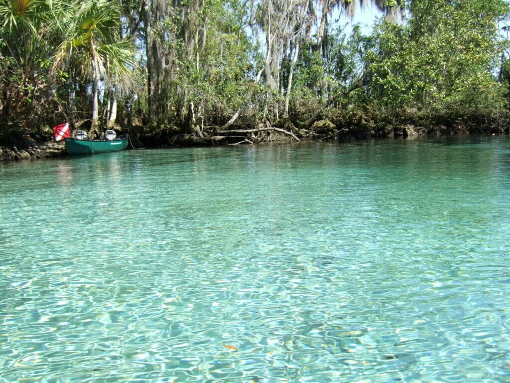 Kayaking Crystal River 