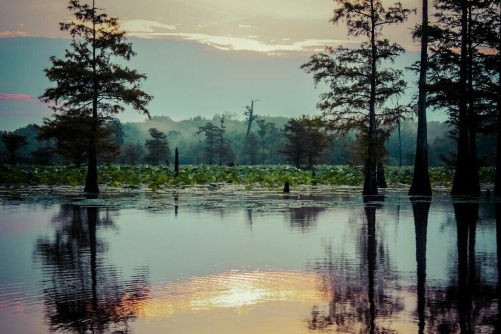 Felsenthal National Wildlife Refuge, small town in Arkansas 