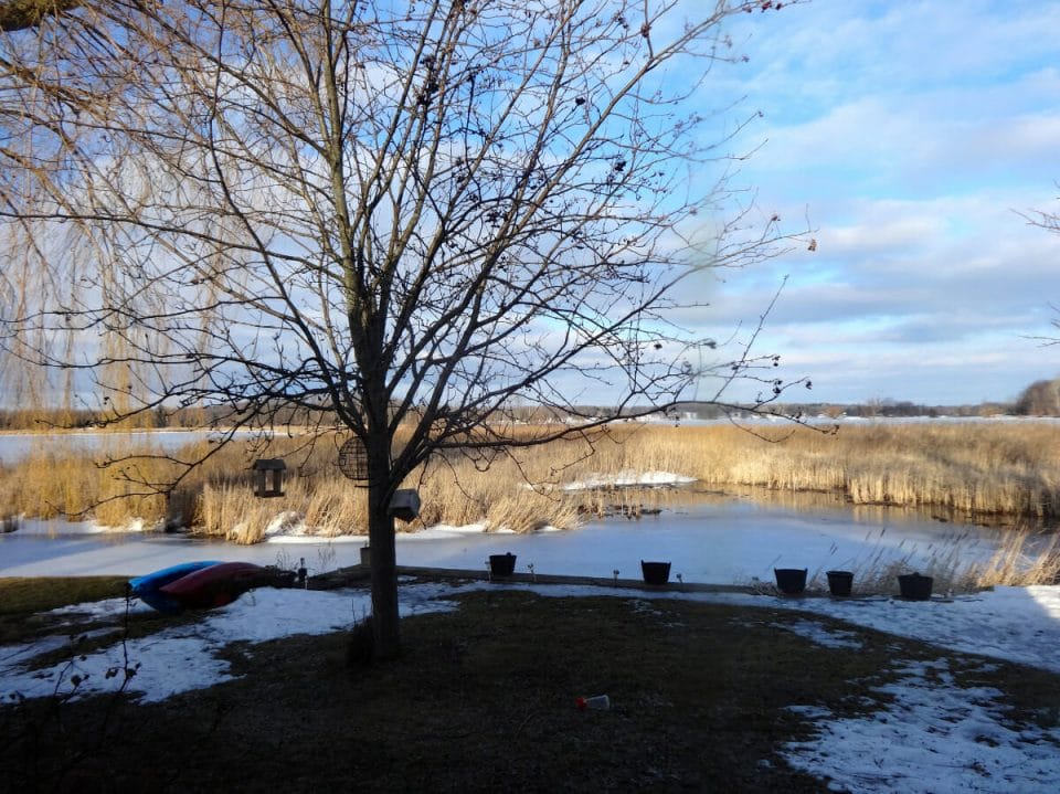 21 Charming Small Towns in Michigan to Check Out (2023)