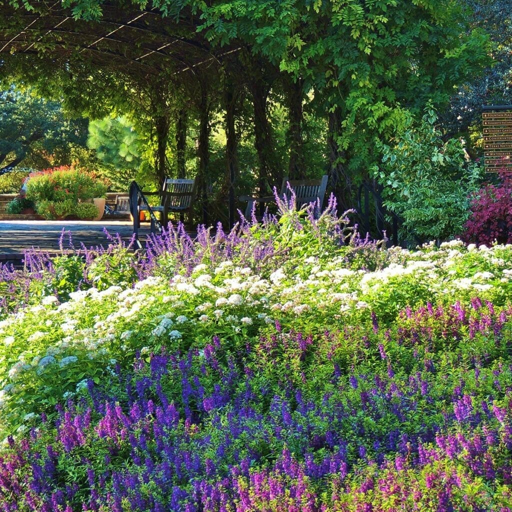 San Antonio Botanical Garden