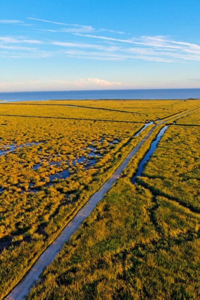 Delaware nature