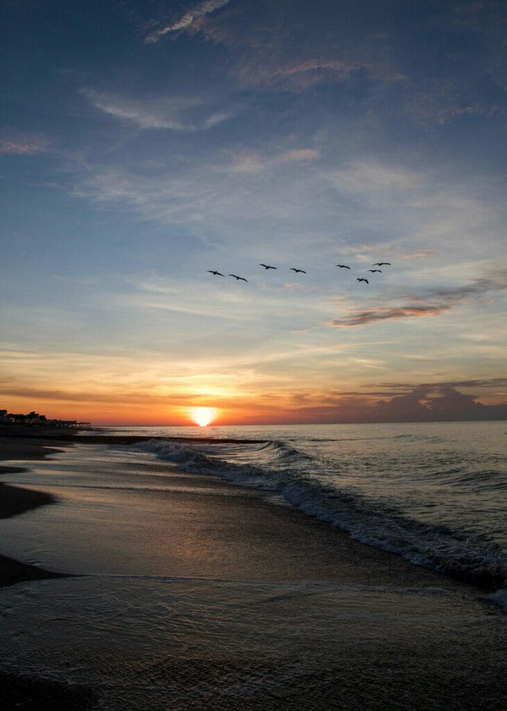 Edisto Beach 