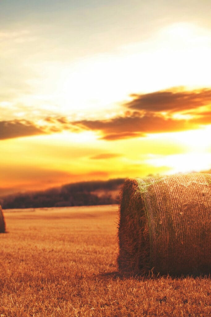 Hay on a farm in Nebraska