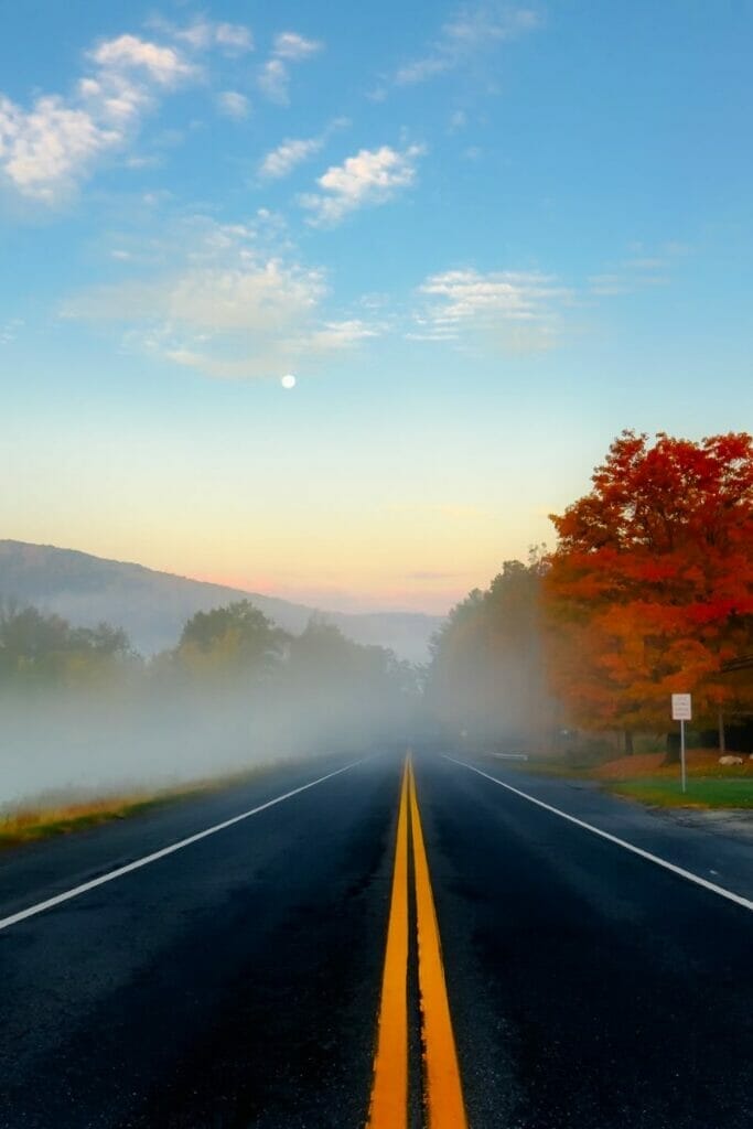 foggy road