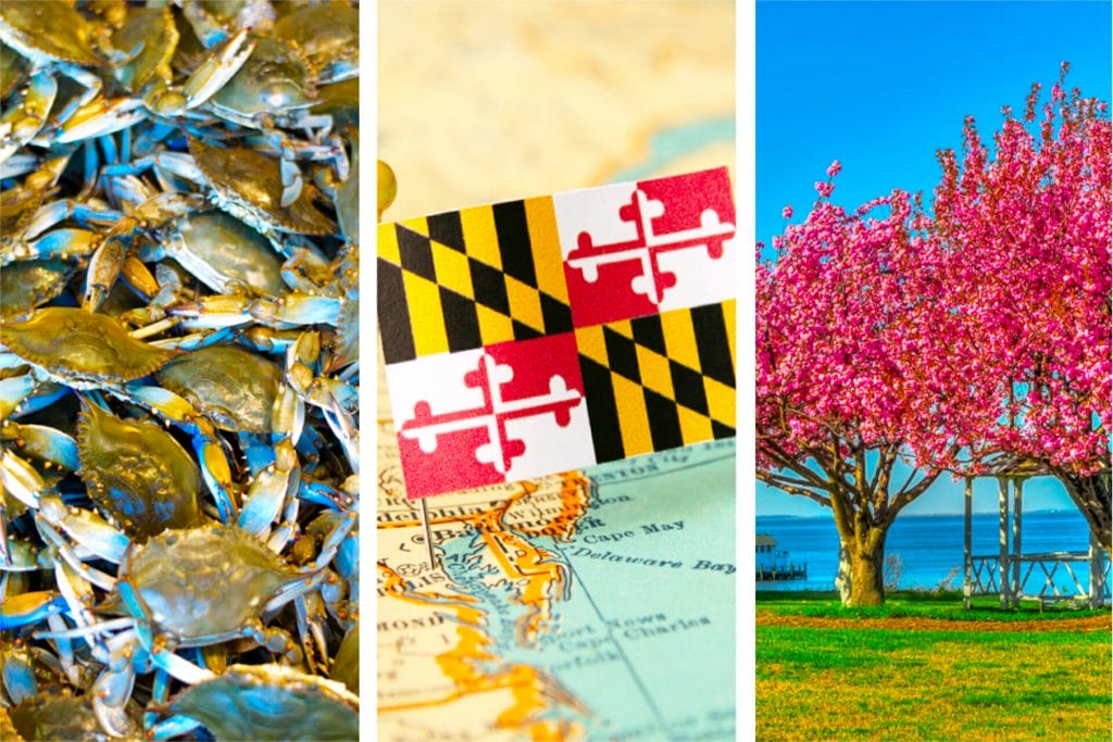 fun facts Maryland