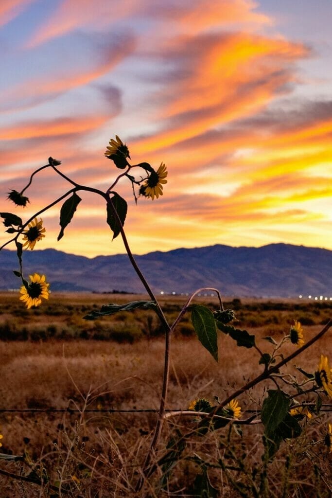 Idaho sunset 