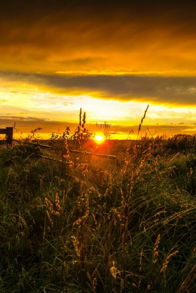 farmland in Iowa 