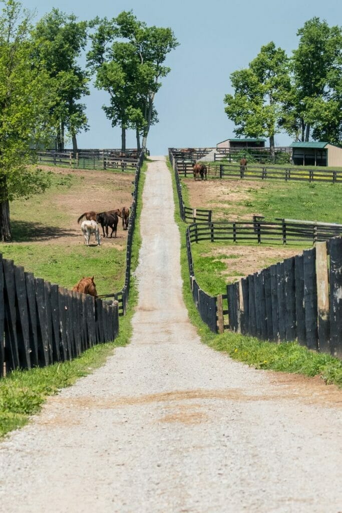 Kentucky farmland