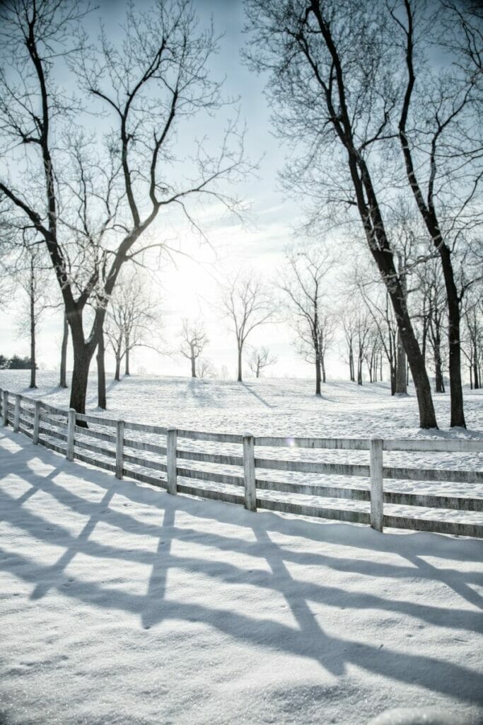 Kentucky winter 