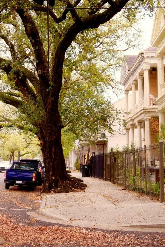 Louisiana neighborhood