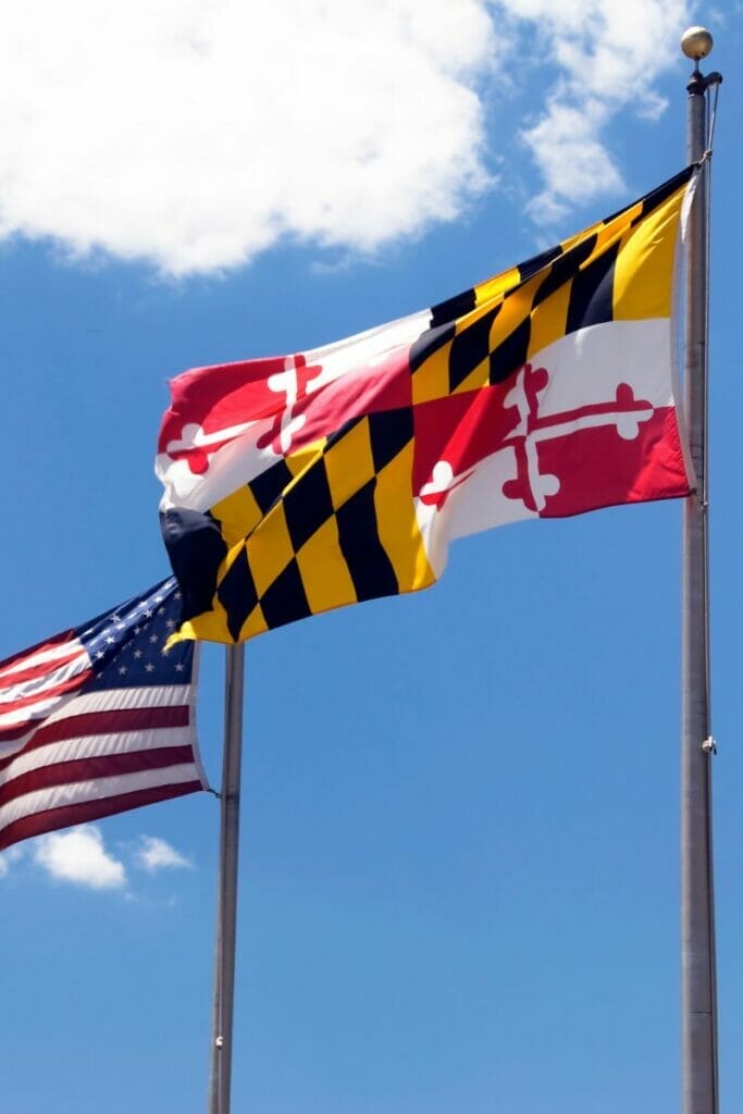 Maryland flag 