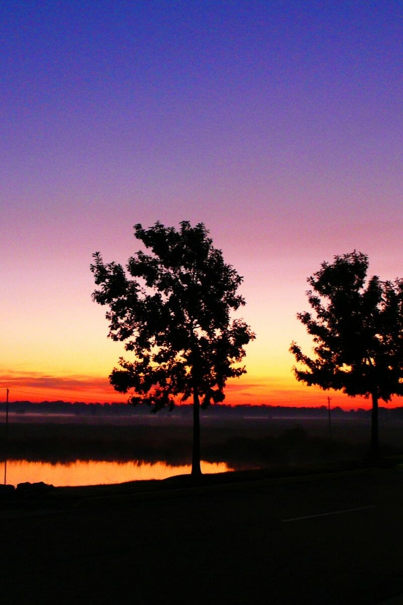 51 Fun Facts about Mississippi (that most people don't know!)