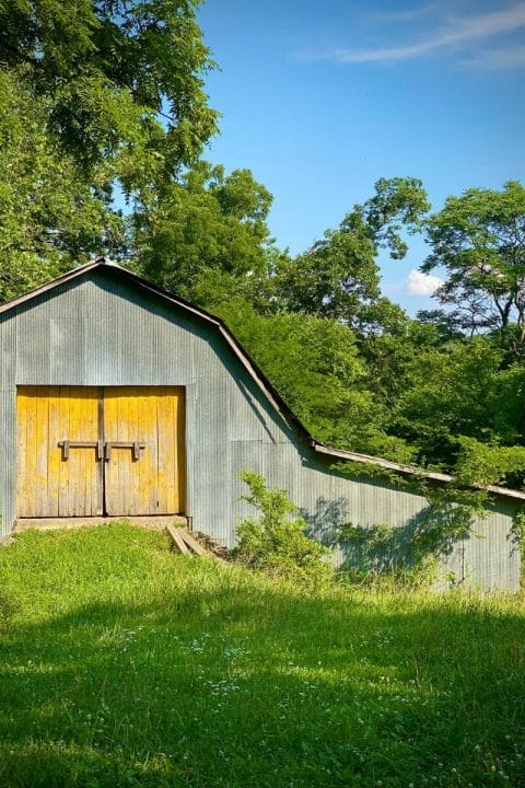 WHAT ARE SOME INTERESTING FACTS ABOUT MISSOURI visual data 4