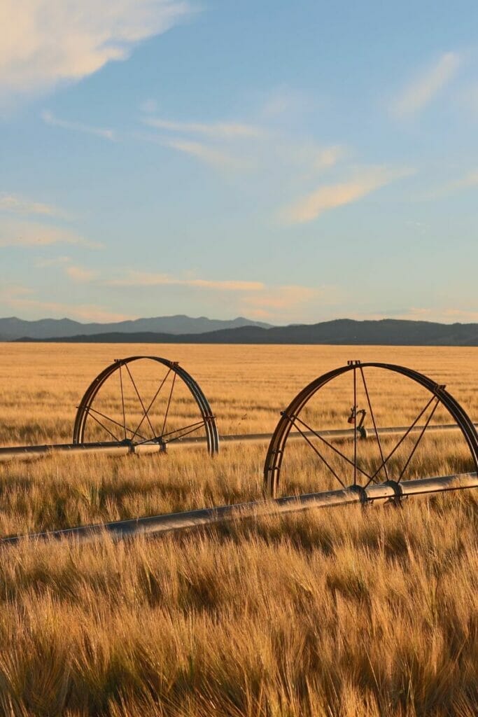 Montana farmland 