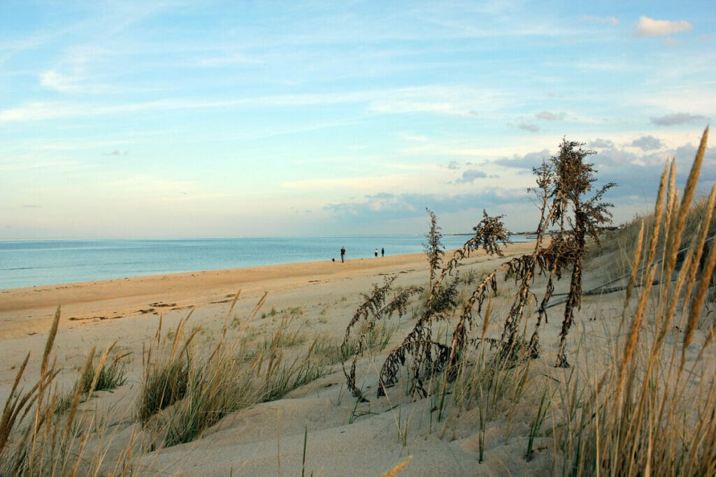 Ocean View